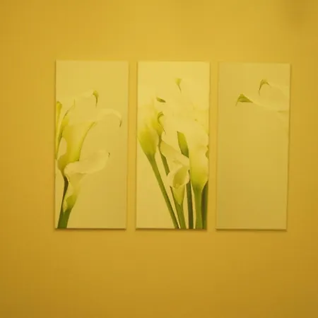 Apartment Cassiopaia In Baden-Baden